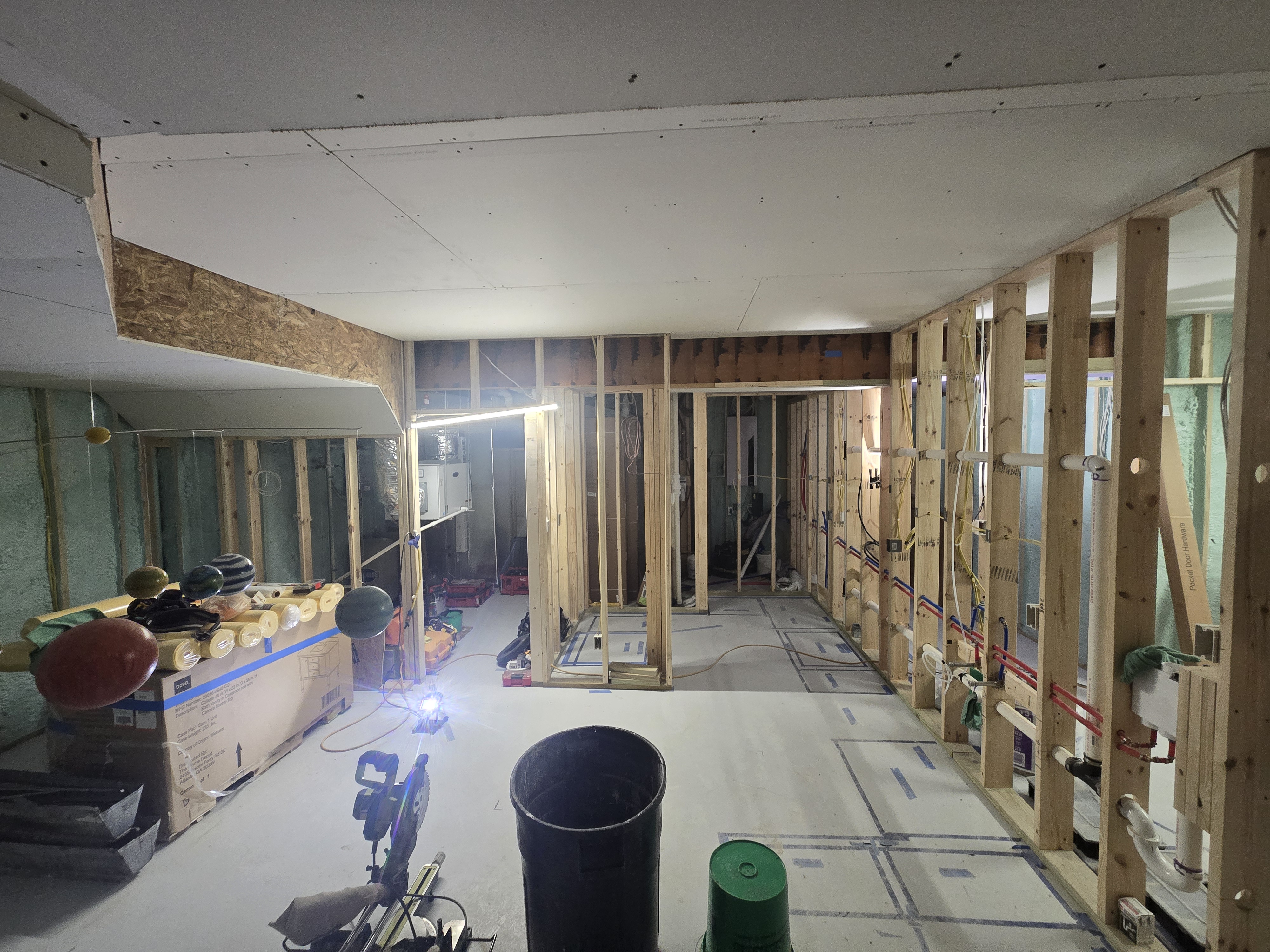 Parent Basement and Bath